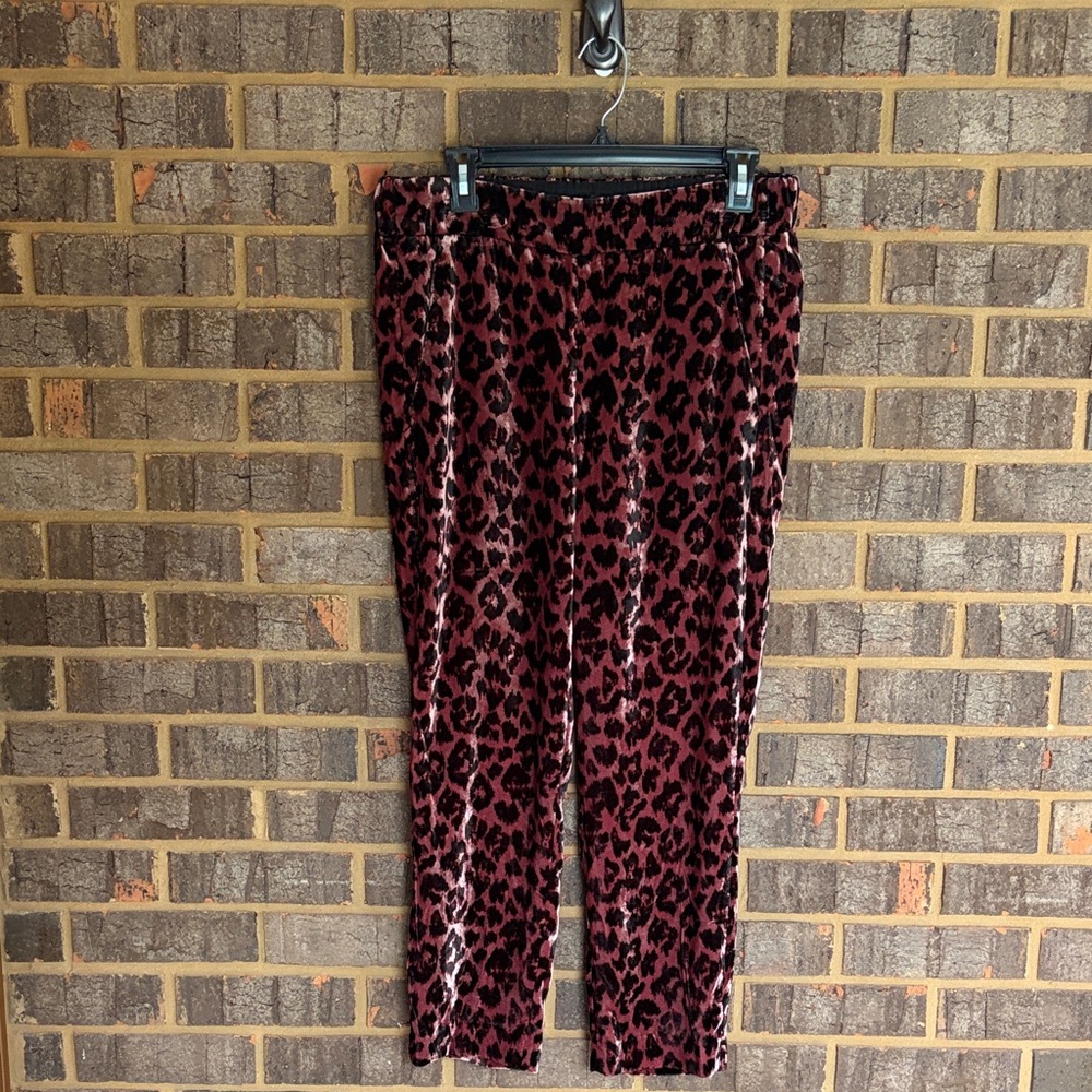 J Crew Pant
